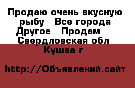 Продаю очень вкусную рыбу - Все города Другое » Продам   . Свердловская обл.,Кушва г.